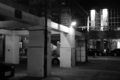 [秋葉原][夜撮り][Monochrome]