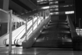 [秋葉原][夜撮り][Monochrome]