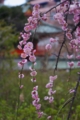 [20120325]