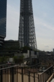 [東京スカイツリー]