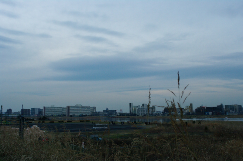 [大師河原][COSINA 24mm F2.8 MC MACRO]