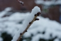 [PENTAX-M 50mm F4 MACRO][雪景色]