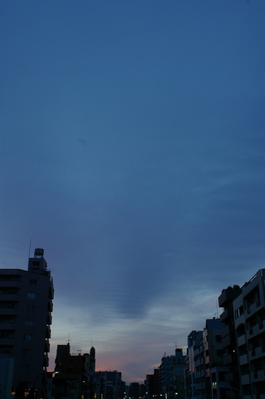 [街撮り][墨田区][COSINA 24mm F2.8 MC MACRO]