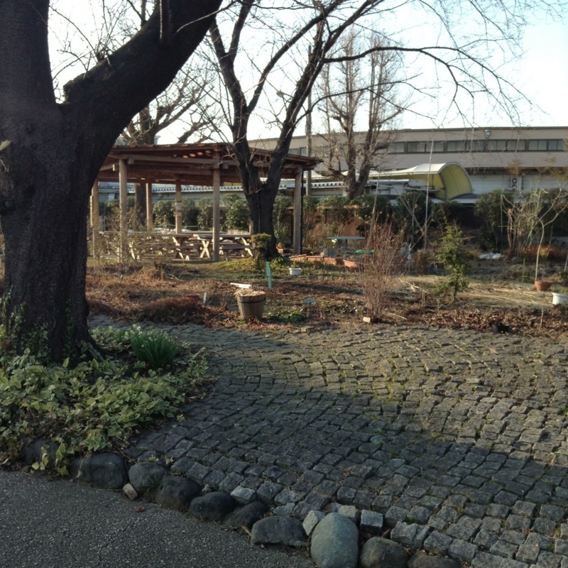 [街撮り]