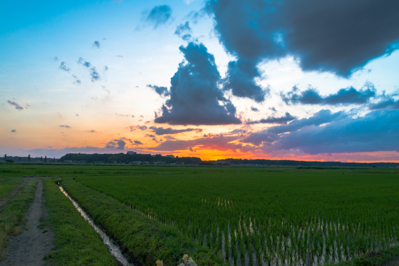 沈む夕焼けを見て黄昏れる