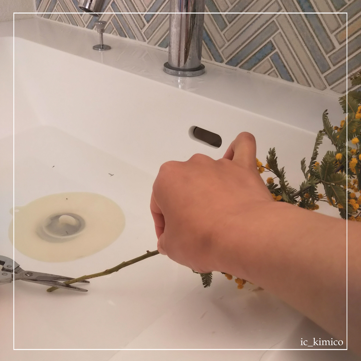 f:id:plusdecor:20220322224944j:plain