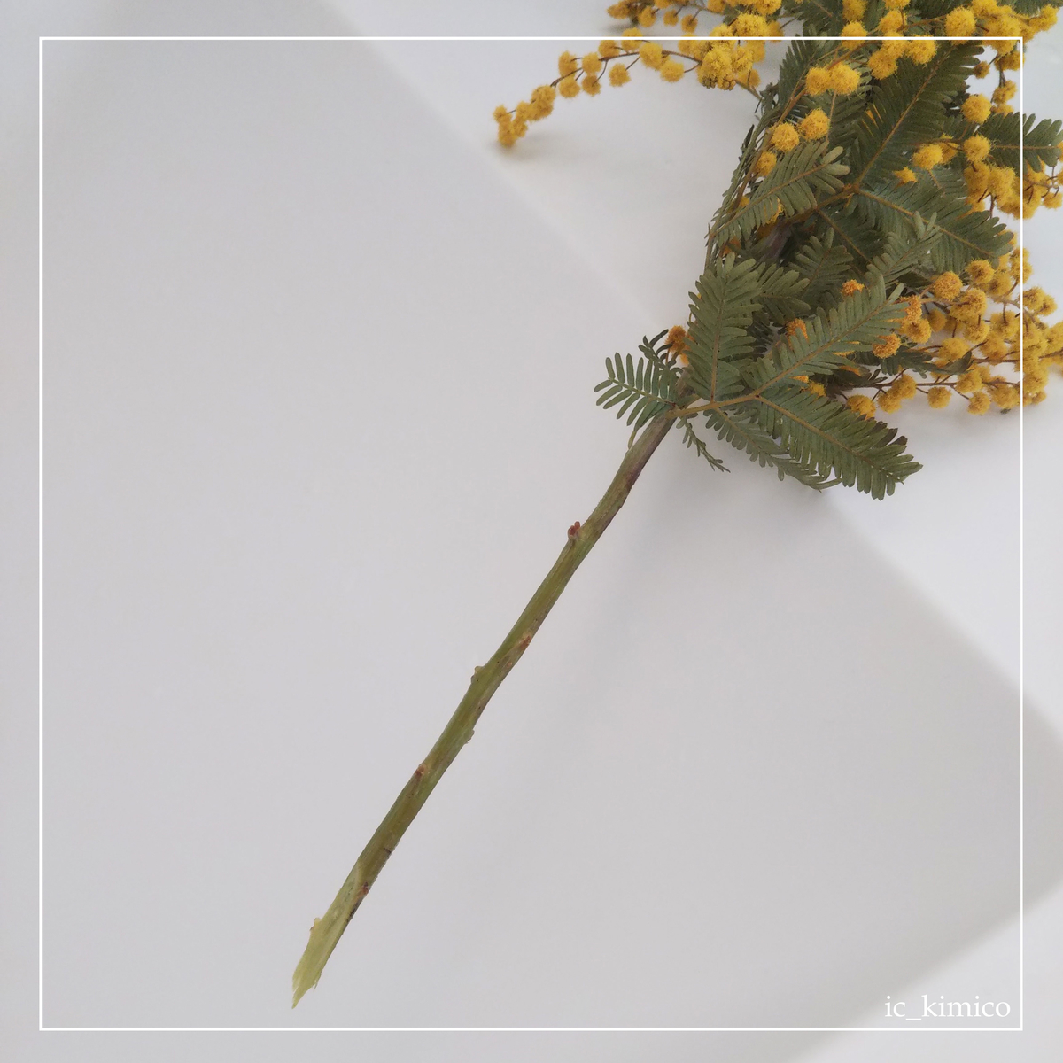 f:id:plusdecor:20220322225014j:plain