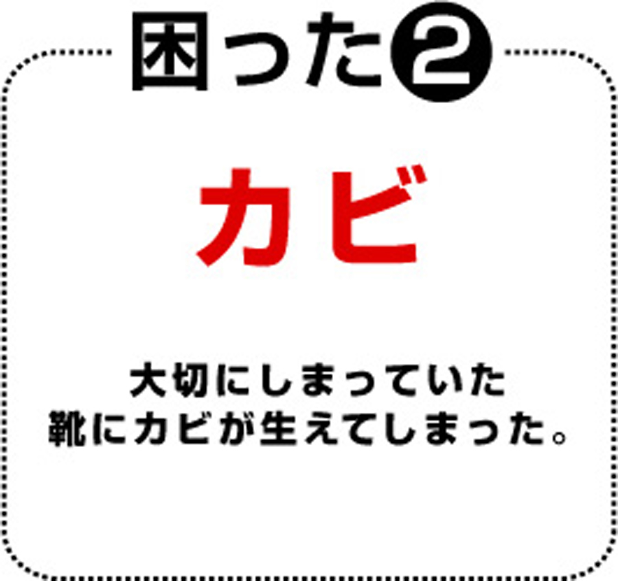 f:id:plusone-akashi:20210514090315j:plain
