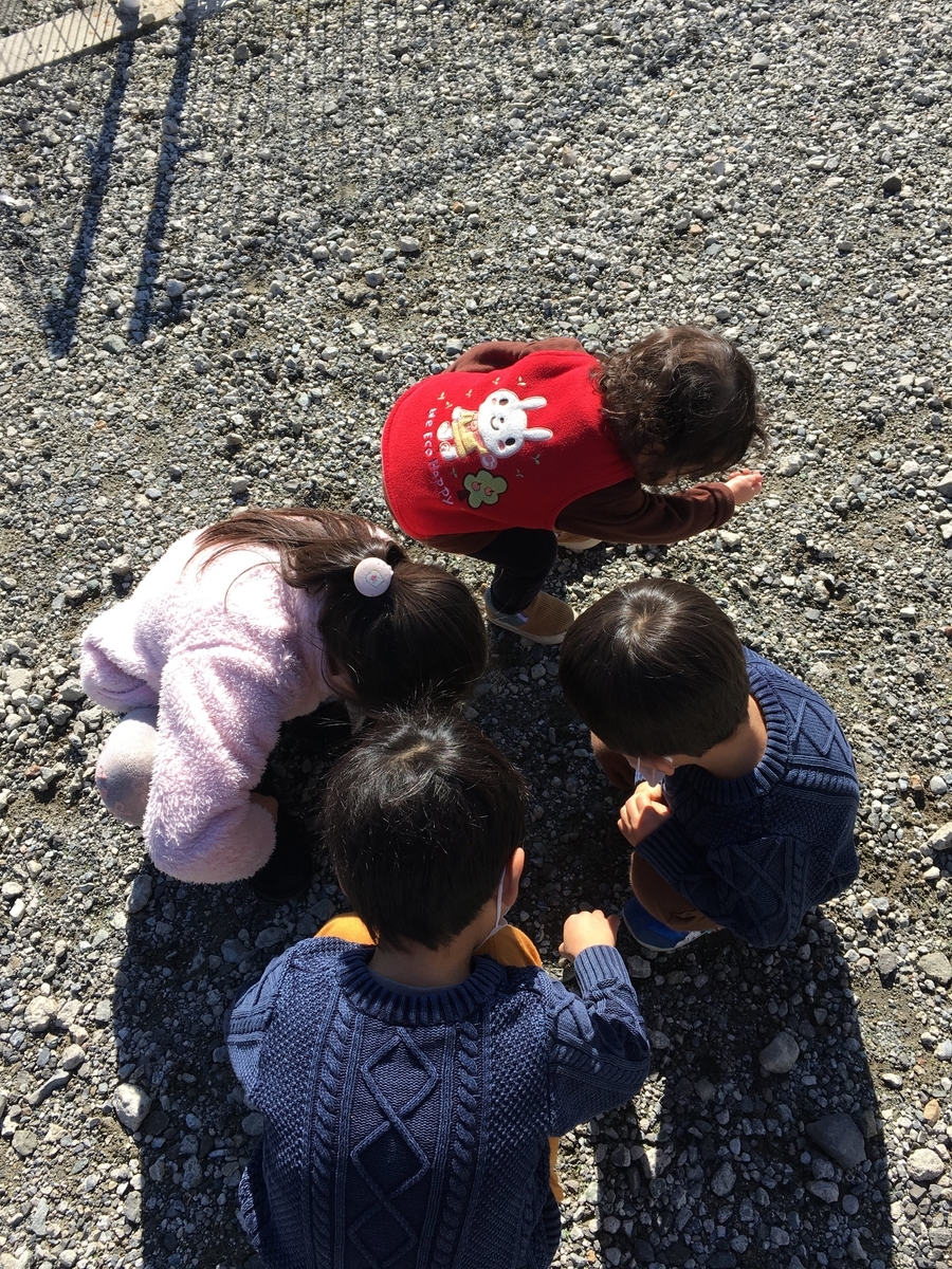 f:id:plusrhythm:20200203145358j:plain f:id:plusrhythm:20200203145358j:plain