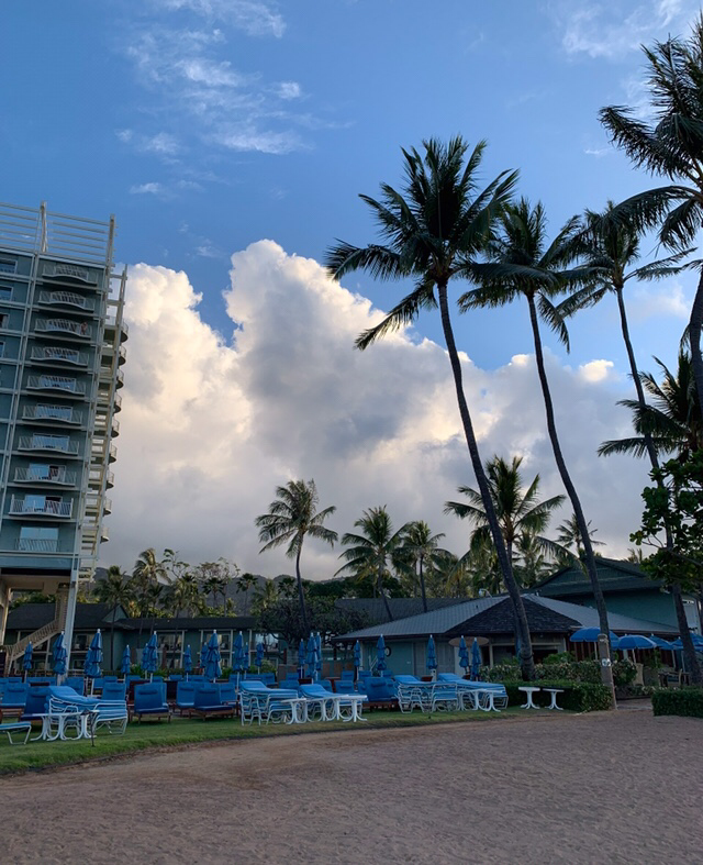 f:id:pm-pdm:20190721123837p:plain f:id:pm-pdm:20190721123837p:plain