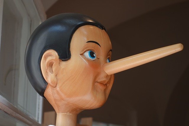 特徴5.嘘をつかない 特徴5.嘘をつかない