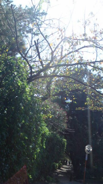 f:id:pm125:20180911183625j:plain