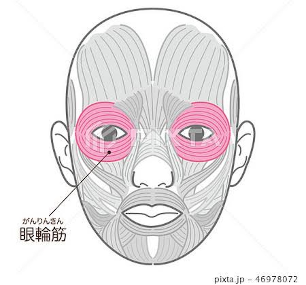 f:id:pmarumarulife:20230118065942j:image