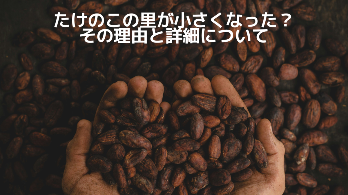 たけのこの里が小さくなった？その理由と詳細を徹底解説