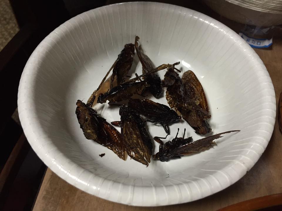 f:id:pnch:20160821012619j:plain