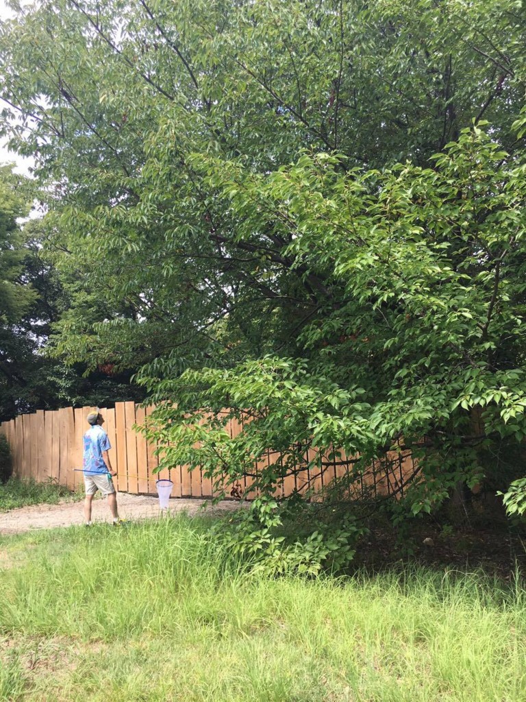 f:id:pnch:20160821012625j:plain