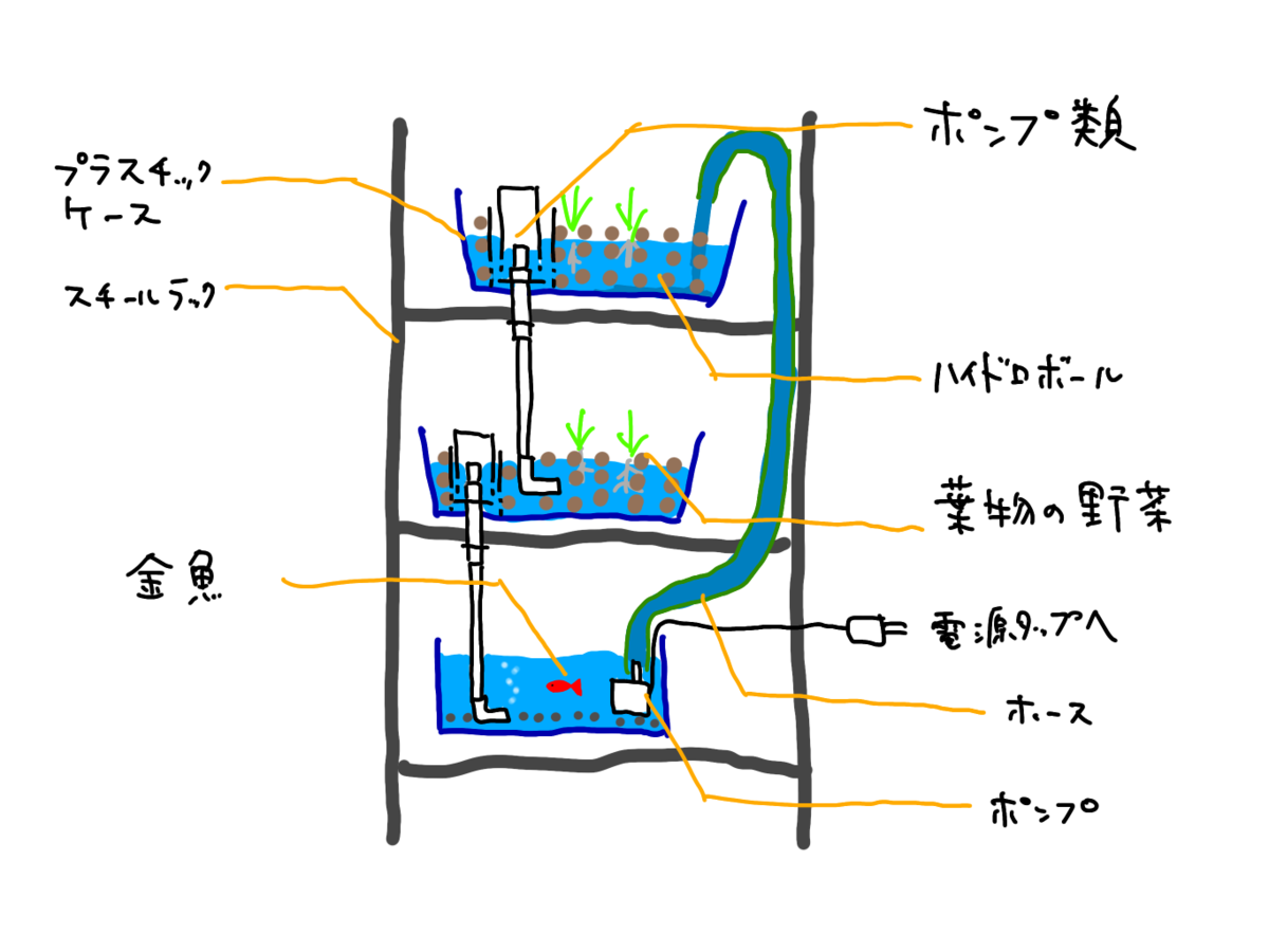 f:id:pnch:20210920210154p:plain