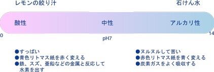f:id:pnd373:20170827212627j:plain