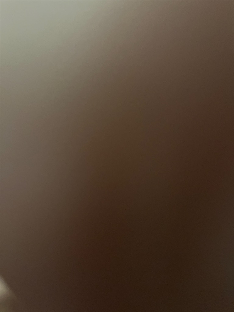 f:id:pndyk:20250317000108j:image