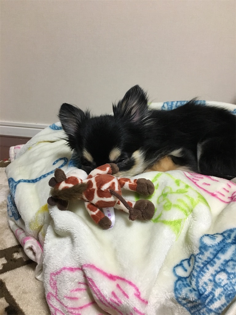 f:id:pnsk:20180103220907j:image f:id:pnsk:20180103220907j:image