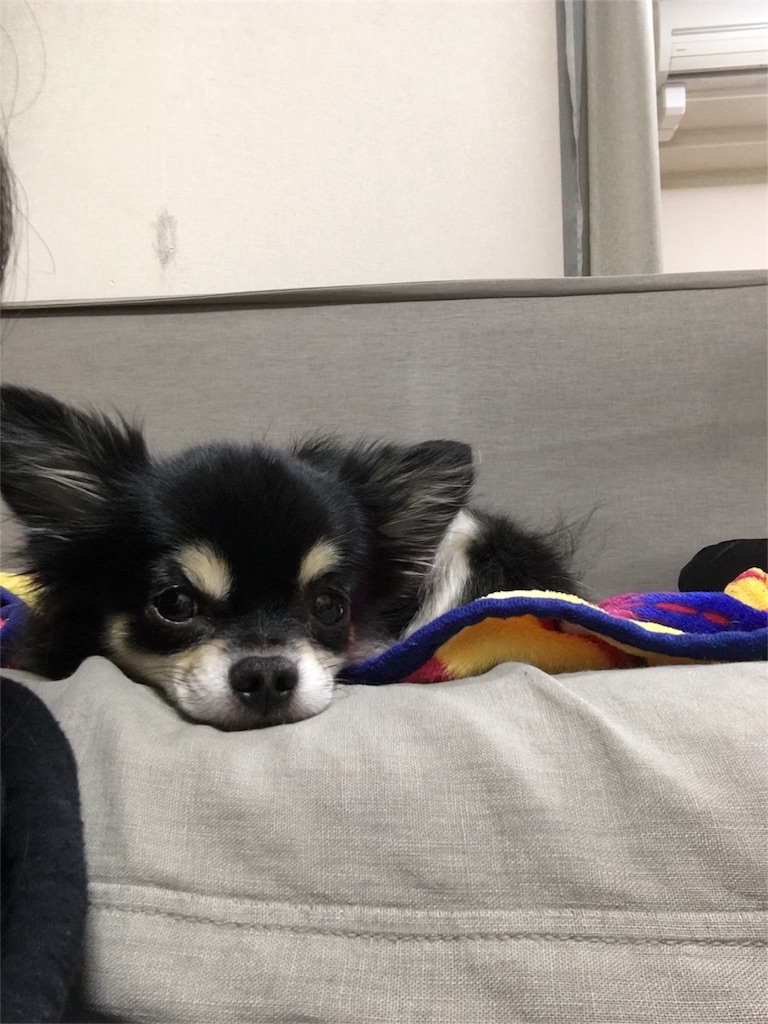 f:id:pnsk:20180103221138j:image
