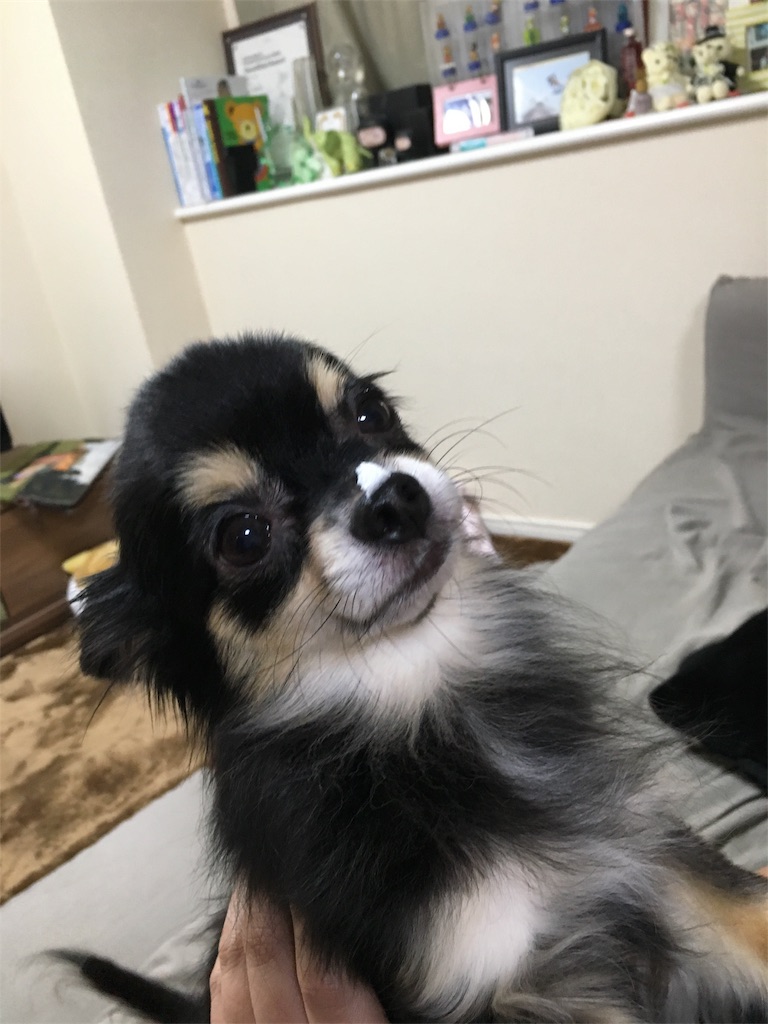 f:id:pnsk:20180103221655j:image