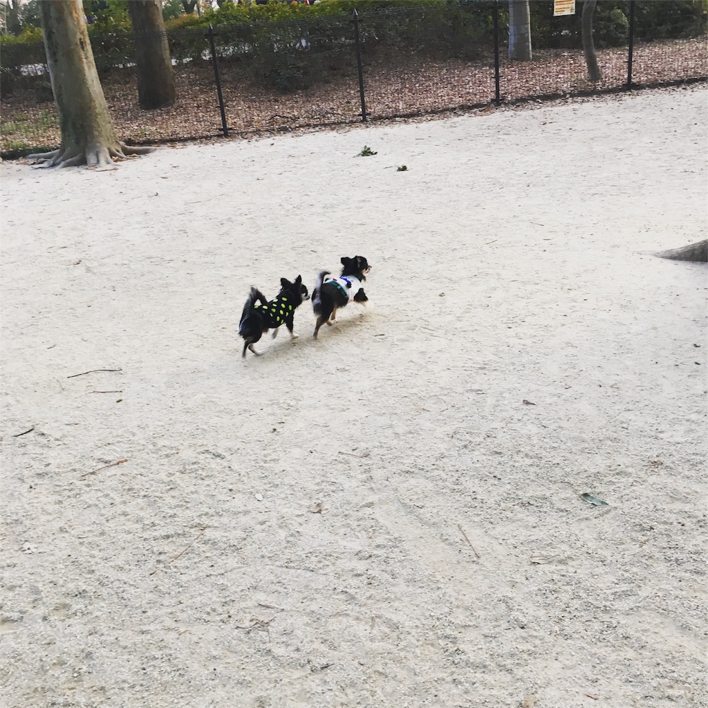 f:id:pnsk:20180103222745j:image f:id:pnsk:20180103222745j:image
