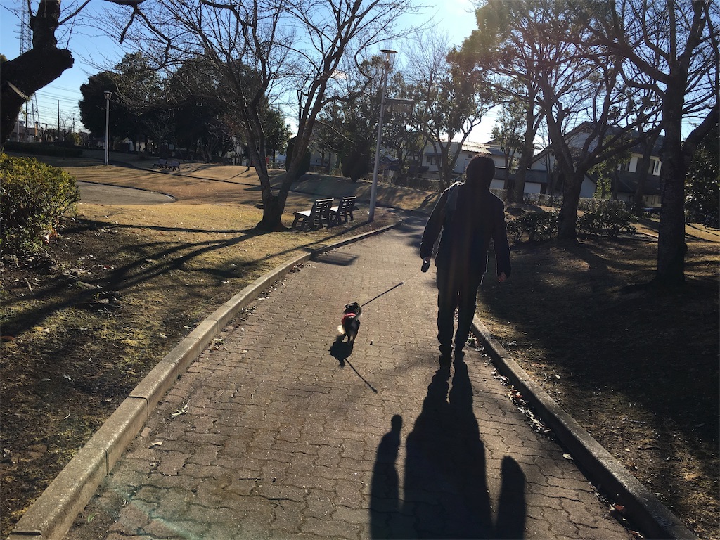 f:id:pnsk:20180203001317j:image