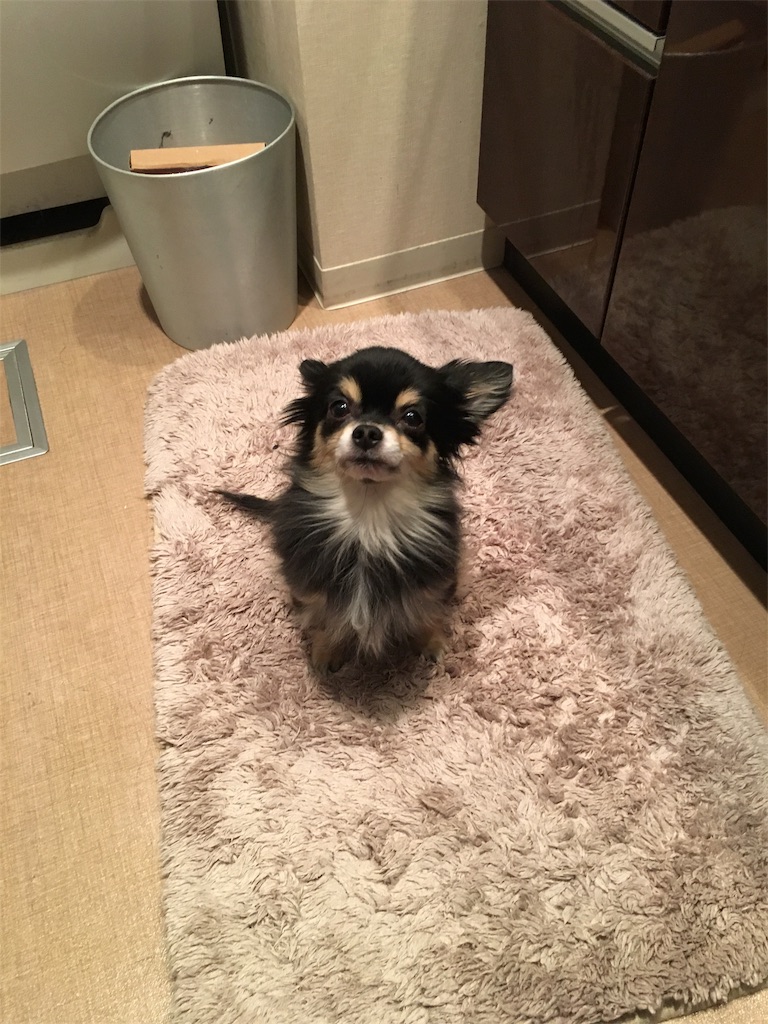 f:id:pnsk:20180203001533j:image