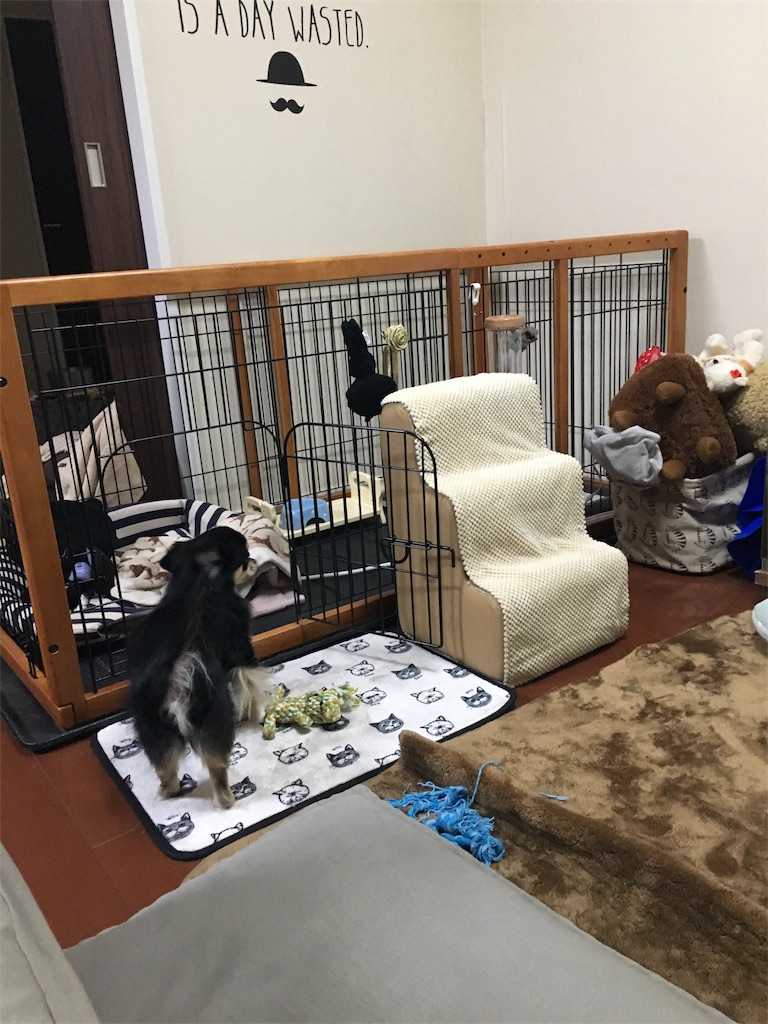 f:id:pnsk:20180203001830j:image