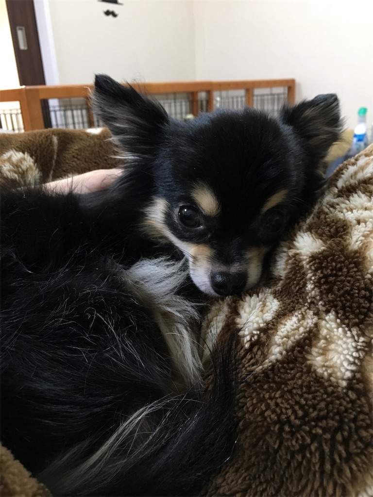 f:id:pnsk:20180203002046j:image