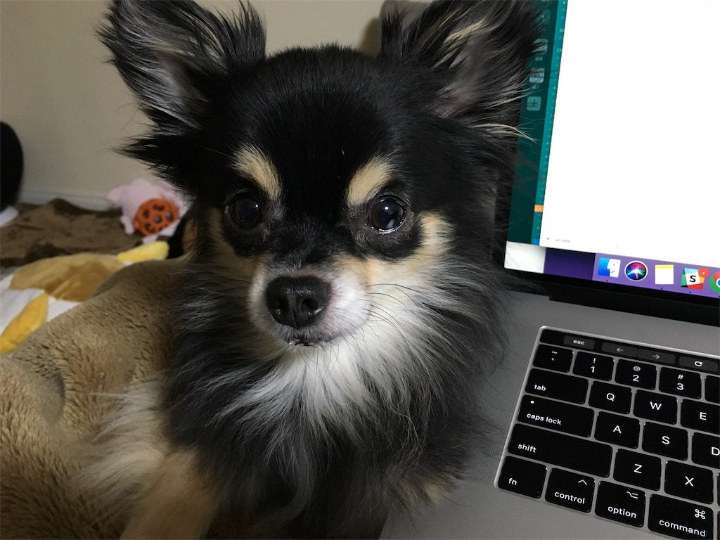 f:id:pnsk:20180203002231j:image