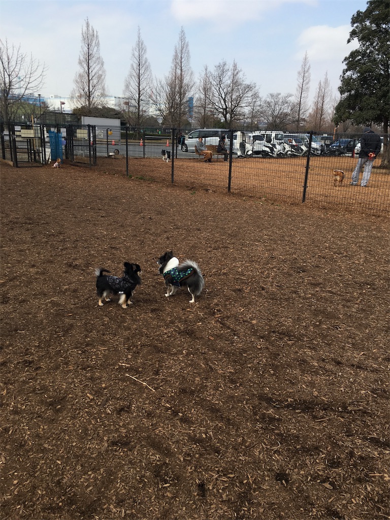 f:id:pnsk:20180203002406j:image