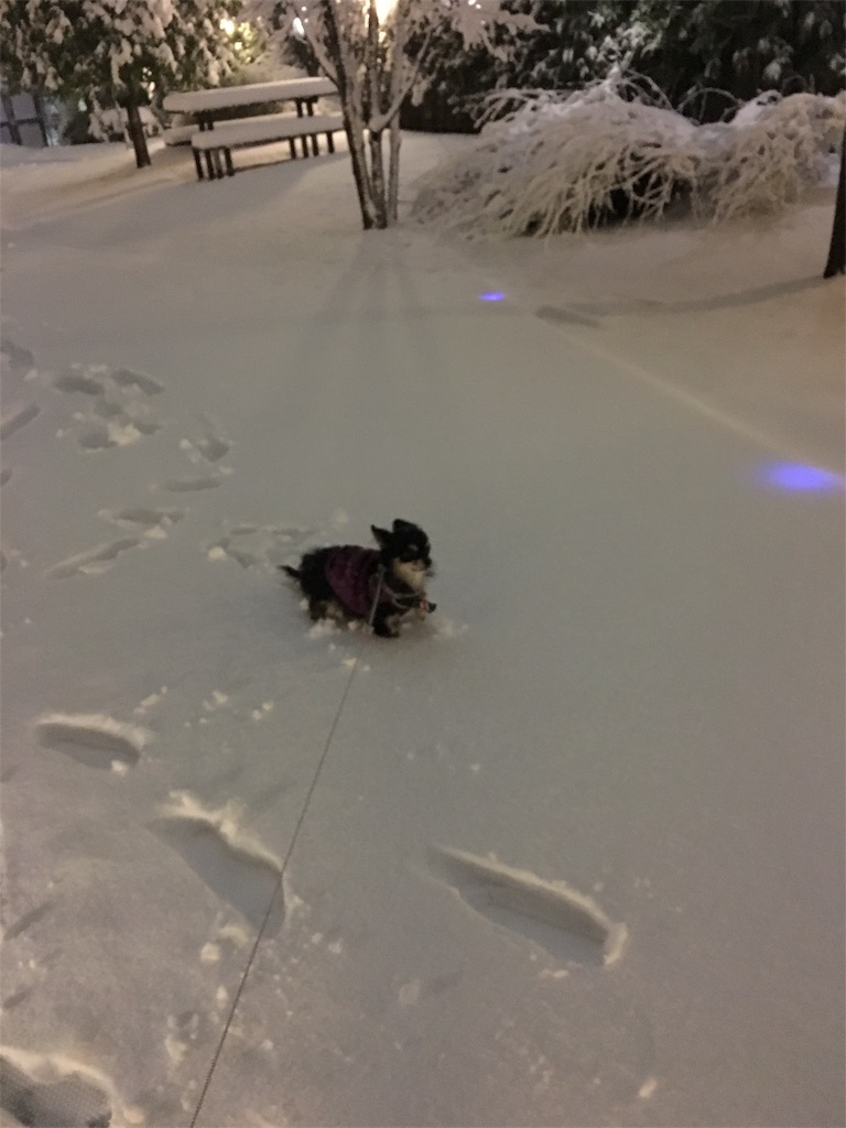 f:id:pnsk:20180203002447j:image