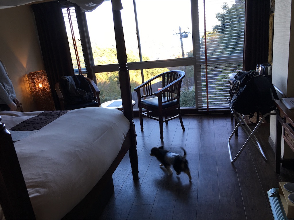 f:id:pnsk:20180203002715j:image