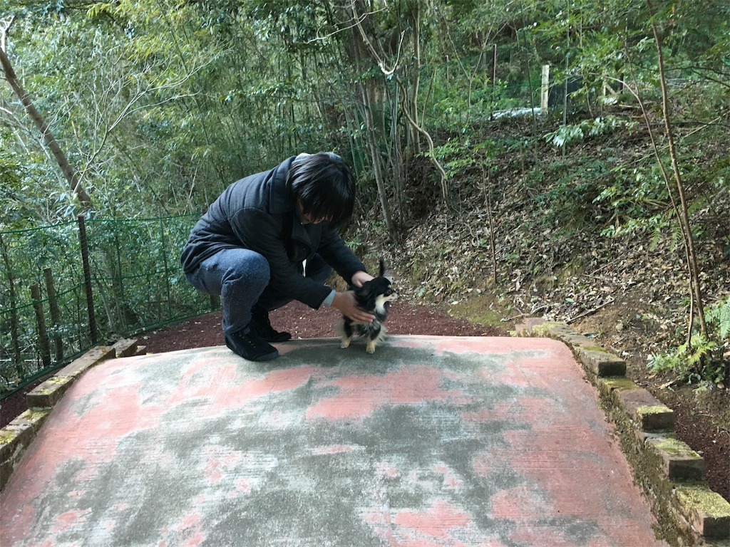 f:id:pnsk:20180203003010j:image