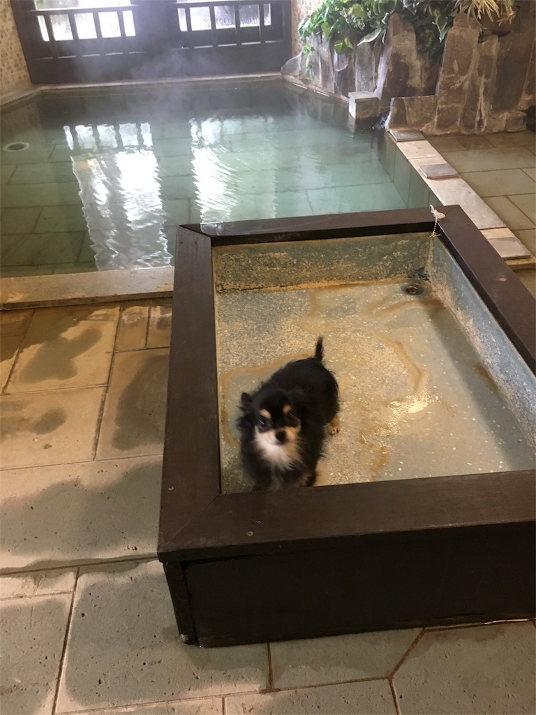 f:id:pnsk:20180203003147j:image