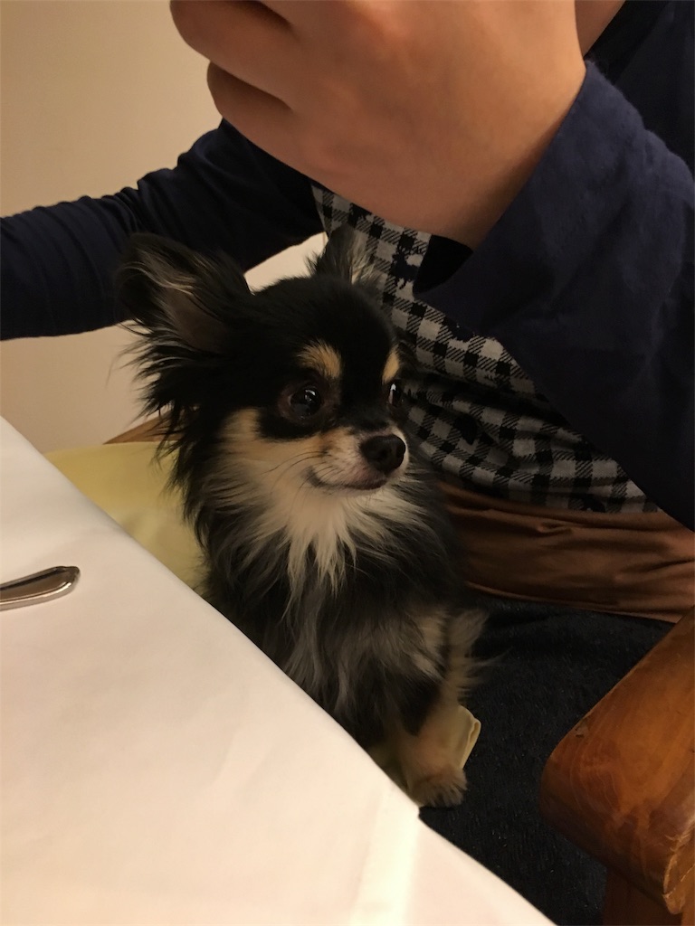 f:id:pnsk:20180203003610j:image