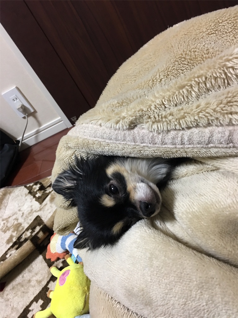 f:id:pnsk:20180203004059j:image