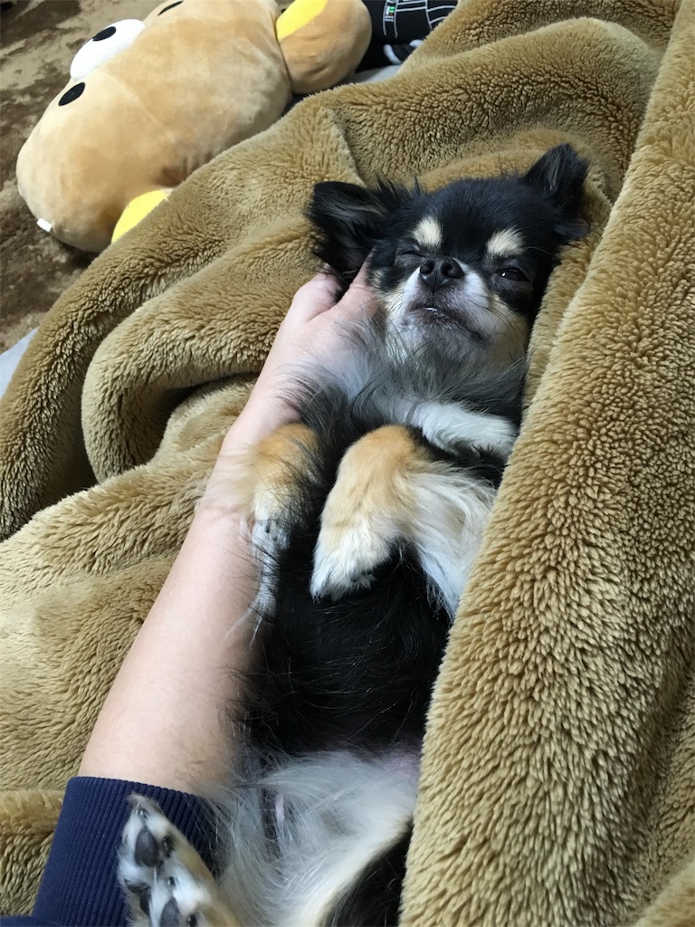 f:id:pnsk:20180405100612j:image