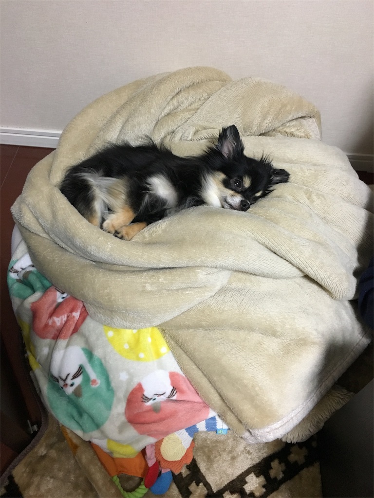 f:id:pnsk:20180405100712j:image