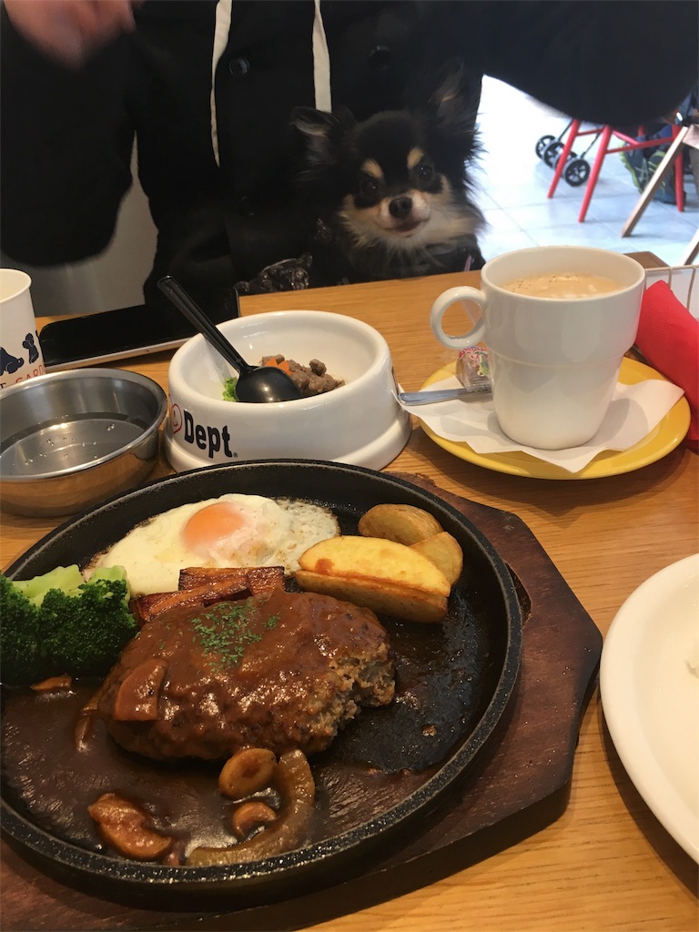 f:id:pnsk:20180405101019j:image