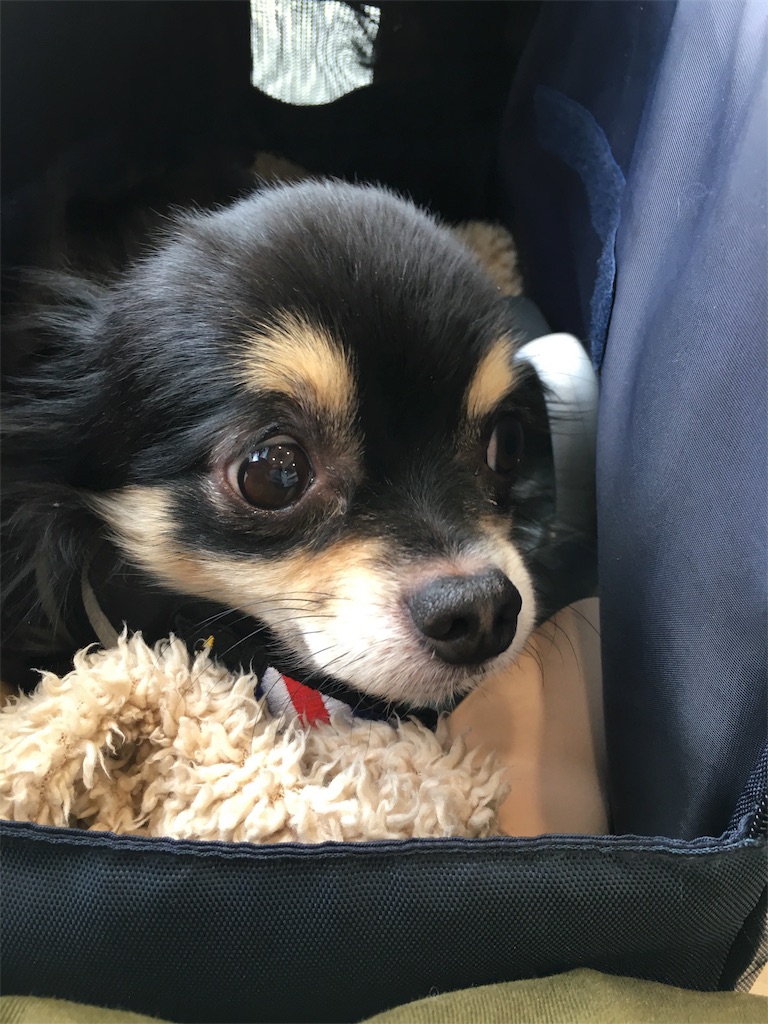 f:id:pnsk:20180405101351j:image