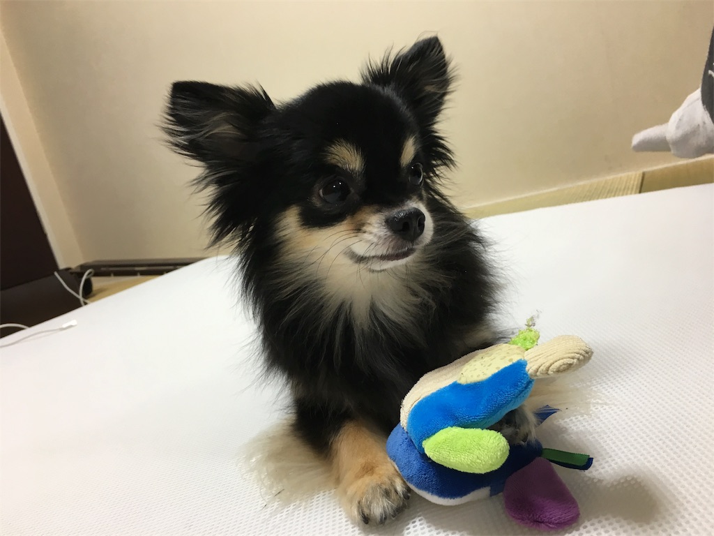 f:id:pnsk:20180405101748j:image
