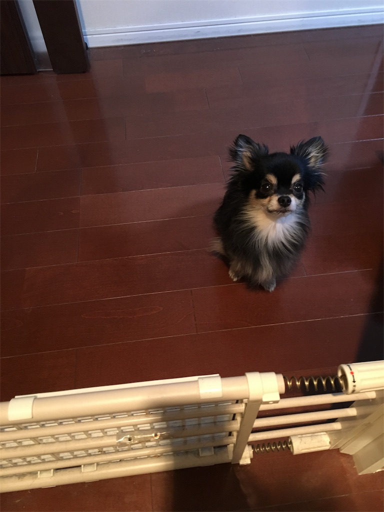 f:id:pnsk:20180405101944j:image