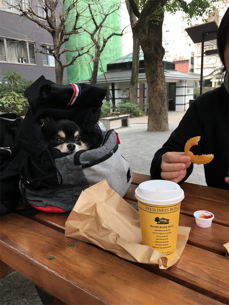 f:id:pnsk:20180405102224j:image