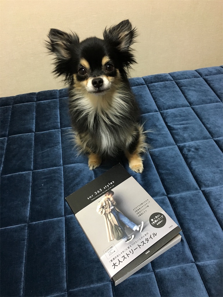 f:id:pnsk:20180405102404j:image