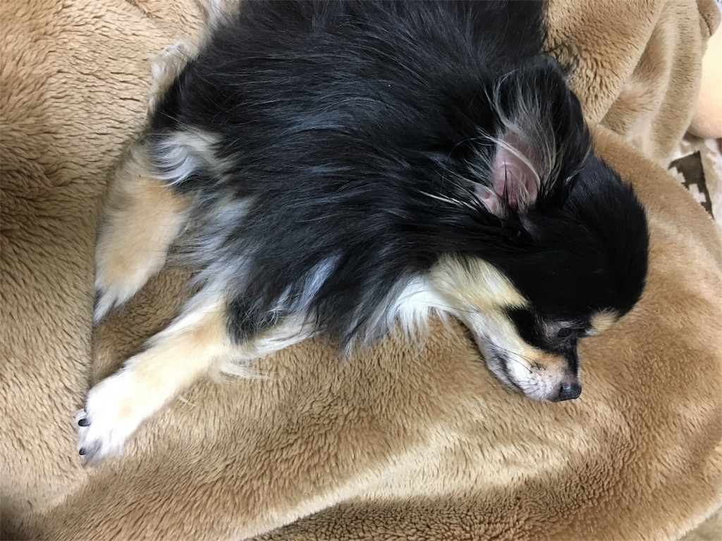 f:id:pnsk:20180413013126j:image