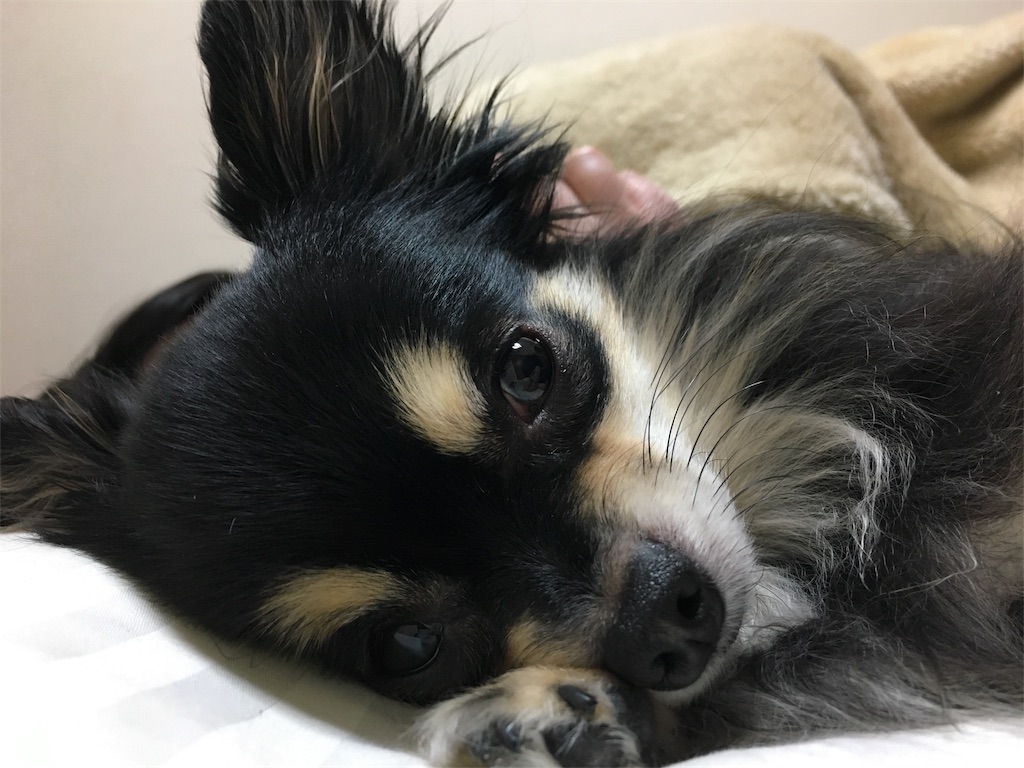 f:id:pnsk:20180413013233j:image