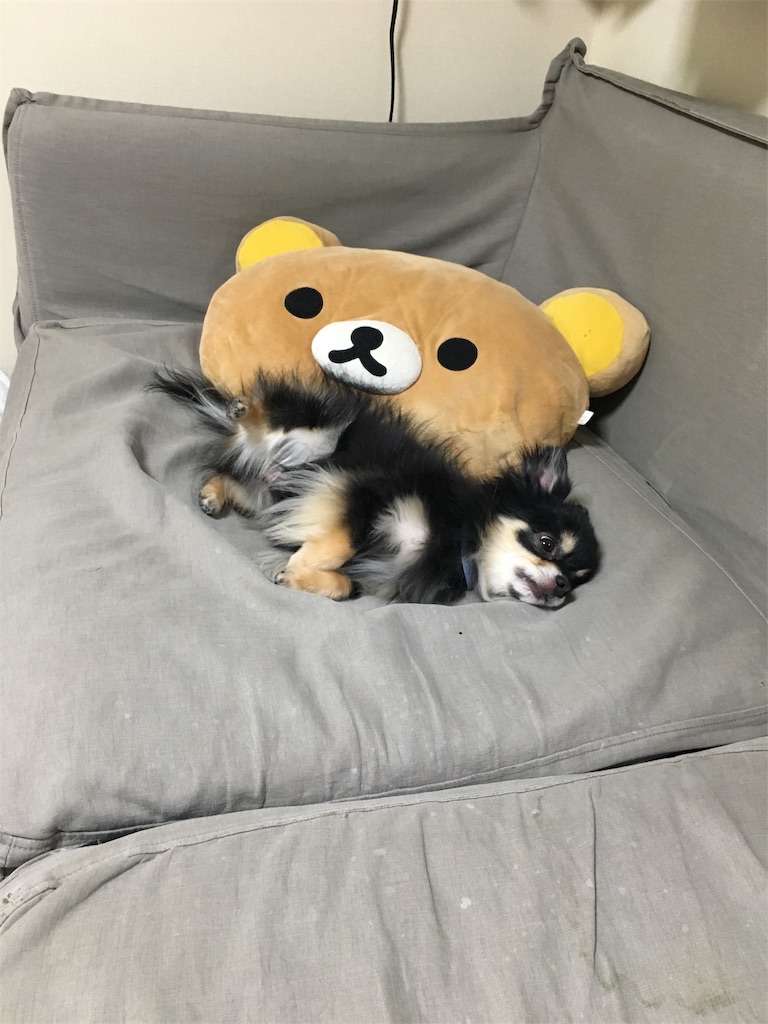 f:id:pnsk:20180413013403j:image